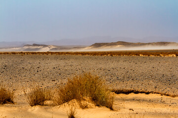 Dry flat stony desert called hamada. Hamada desert near the town of Ouarzazate, Morocco, Africa