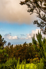 Paisaje en la Corujera, Isla de Tenerife.