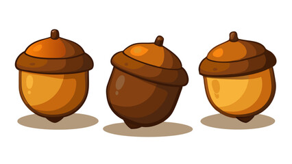 oak barrel with acorns isolated on white background.