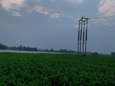 Vast green field with a river and power lines under a cloudy sky - Powered by Adobe