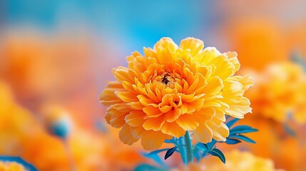 A yellow flower with a bee on it