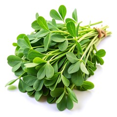 A fresh bunch of green fenugreek leaves tied with rope isolated on white background