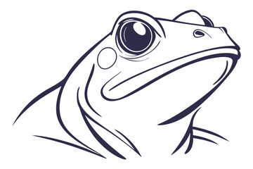 Stylized black frog is depicted with star accents against a plain background