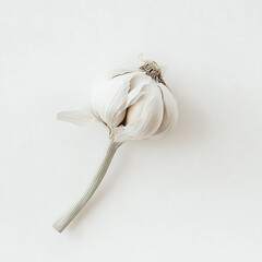 Elegant Minimalist Photograph of a Single Garlic Bulb