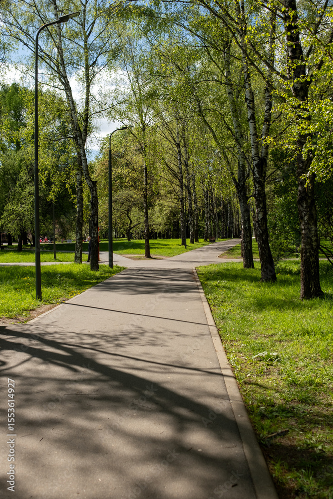 Poster Pathway Lined With Trees in a Tranquil Park Setting During a Sunny Day in Spring Showcasing Lush Greenery and Bright Blue Skies