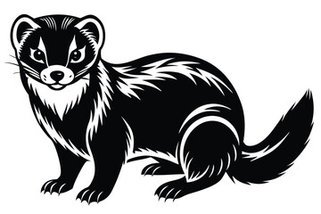 Ferret illustration shows its sleek black, white, and tan fur while it looks forward