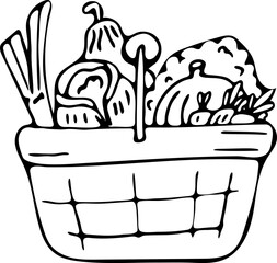 Basket with autumn vegetables Illustration. Hand drawn vector doodle style