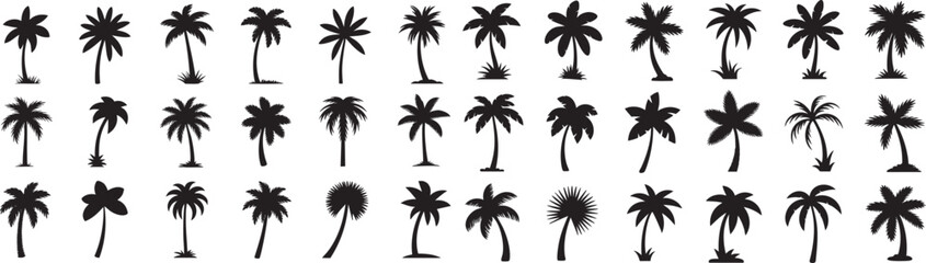 Palm Tree Silhouette Collection A Tropical Vector Set of Various Palm Tree Shapes and Sizes on Black Background for Exotic Designs and Summer-Themed Projects