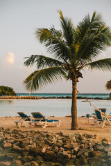 Relaxing beach scene with palm trees, lounge chairs, and calm waters at sunset in a tropical paradise