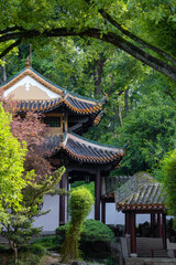 chinese pavilion in the garden