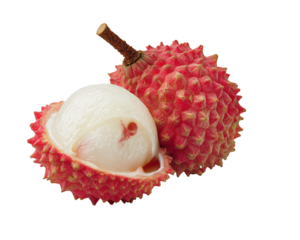 Error Processing Image Message Display on Transparent Background