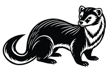 Striking black and white ferret stands attentively, its gaze cast slightly behind with keen interest
