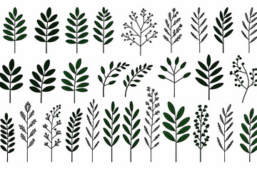 Botanical Illustration Set-Hand Drawn Leaves & Branches-Nature Inspired Art-Greenery Designs for Invitations & Crafts-Floral Elements Clipart Collection