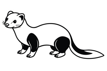 Adorable line art drawing shows an ermine posing, showcasing its distinct black and white coloration