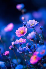 A bunch of pink and blue flowers in a field