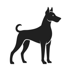 black dog isolated on white background
