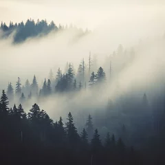 Fototapete Wald im Nebel fog in the mountains forest background wallpaper  © Eira