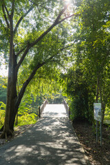 Fototapeta premium Wooden bridge over the pond in the park.