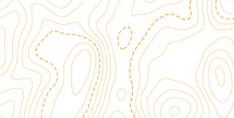 Retro topographic map. Geographic contour map. Abstract outline grid, vector illustration.