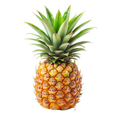 pineapple on white background