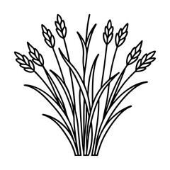 Minimal Pressed Flower Art Drawing