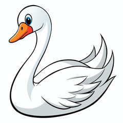 Swan on white background