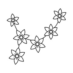 Fototapeta premium Outline of Dried Flowers Arrangement Line Art