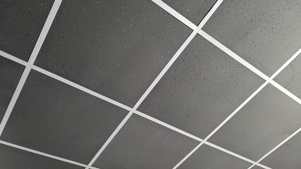 Ceiling tiles in modern office style with gray color 