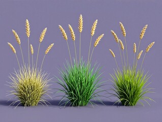 Wheat Growth Stages from Grass to Maturity
