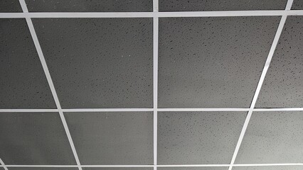 Ceiling tiles in modern office style with gray color