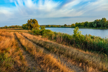 Scenic landscape with the River, nature of the eastern region of Ukraine. Trees and dense...
