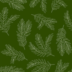 Seamless pattern of fir tree branches in lines on a green background