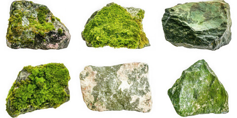 Rocks covered with moss and lichen on transparent background