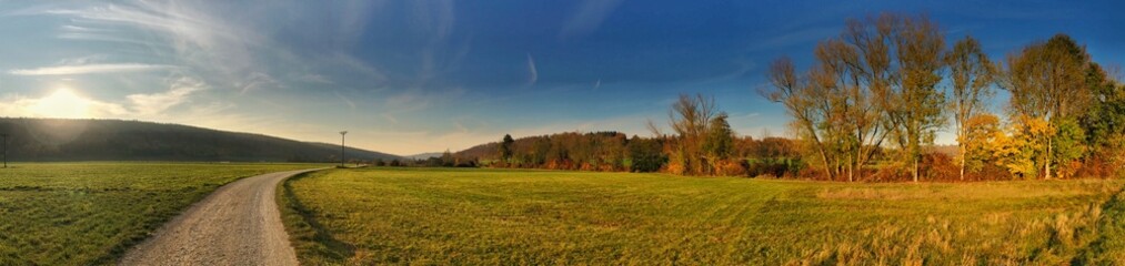 Picturesque rural panorama with trees and cloudy sky in golden sunlight