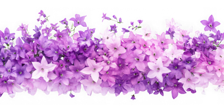 Purple floral arrangement design on transparent background - Powered by Adobe