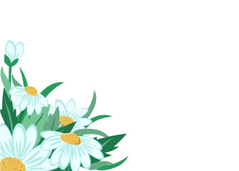Banner, chamomile flowers on a white isolated background with space for text. For a colorful greeting card, invitation. Set of meadow flowers.
