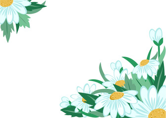 Banner, flowers, chamomile on a white isolated background with space for text. For a colorful greeting card, invitation. Set of meadow flowers.