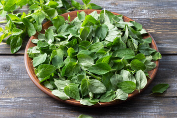 Fresh oregano leaves arranged on plate, ready for drying on rustic wooden table. Organic culinary...