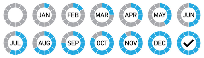 Blue and gray circular month tracker icons for january to december with progress segments and final tick mark. Ideal for project tracking, planning visuals, timelines. Isolated vector illustration.