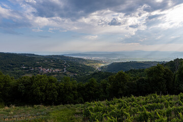 Morning view of the ancient Slovenian town of Piran, the Adriatic Sea, sunset and vineyards