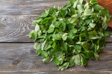 Scattered Oregano Leaves Ready for Drying. Herbal Preparation on Rustic Wooden Surface