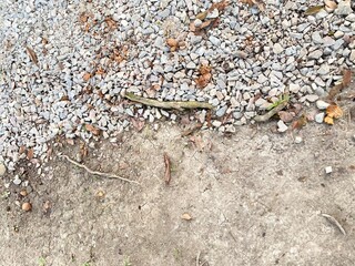 A textured ground surface featuring a layer of pebbles and a patch of bare soil with scattered debris.