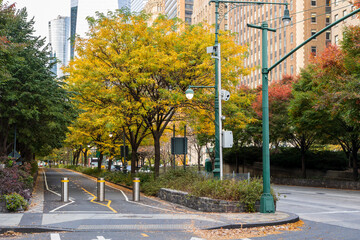 Pedestrian pathway lined with autumn trees and urban streetlights in downtown New York City. Showcases nature in Manhattan during seasonal changes. 