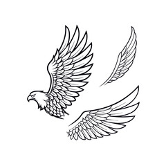 "Set of Stylized Wing Illustrations – Hand-drawn Vector EPS Design"

