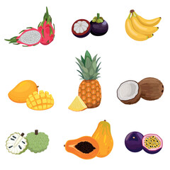  Set of tropical fruits isolated of white background. Vector cartoon illustration such as mango, pineapple, coconut, banana, passionfruit, papaya