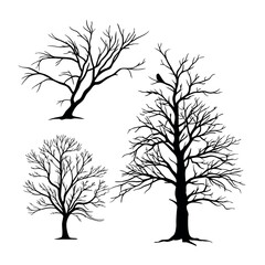 "Set of Dry Leafless Tree Vector Illustrations – Minimalist Black Silhouette EPS Collection"

