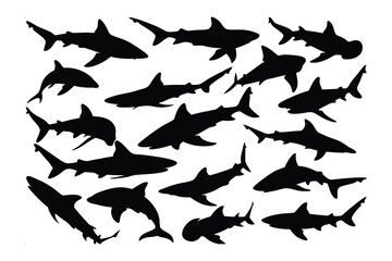 Silent Predators: A stark, high-contrast study of multiple shark silhouettes elegantly captured, their forms dancing in the depths. A symbolic representation of nature's mysteries.