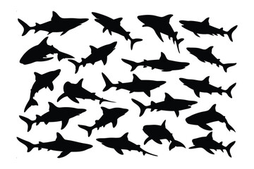 Shadows of the Sea: A mesmerizing ensemble of shark silhouettes elegantly displayed, evoking the power of marine wildlife and highlighting their stark forms.