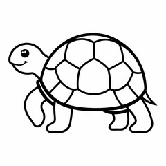 turtle vector illustration