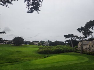 Golf Garden landscape 